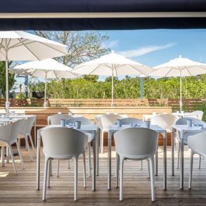 Best Places To Enjoy Oysters