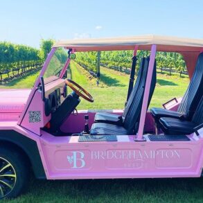 Secret Vineyard Van - Bridge Hamptons