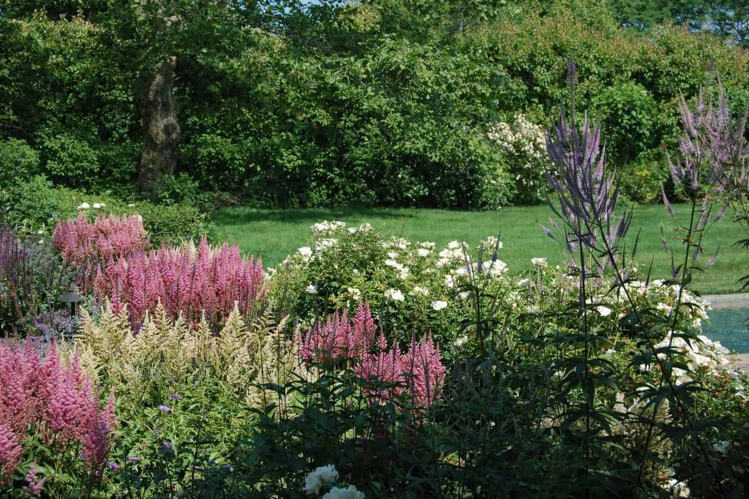 A lush Hamptons garden with pink astilbe beside a pond by Unlimited Earth Care
