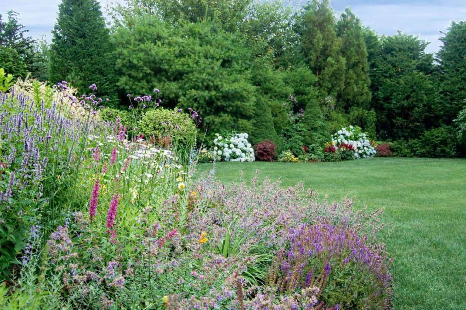 An open lawn bordered by flowering plantings designed for outdoor living by Unlimited Earth Care